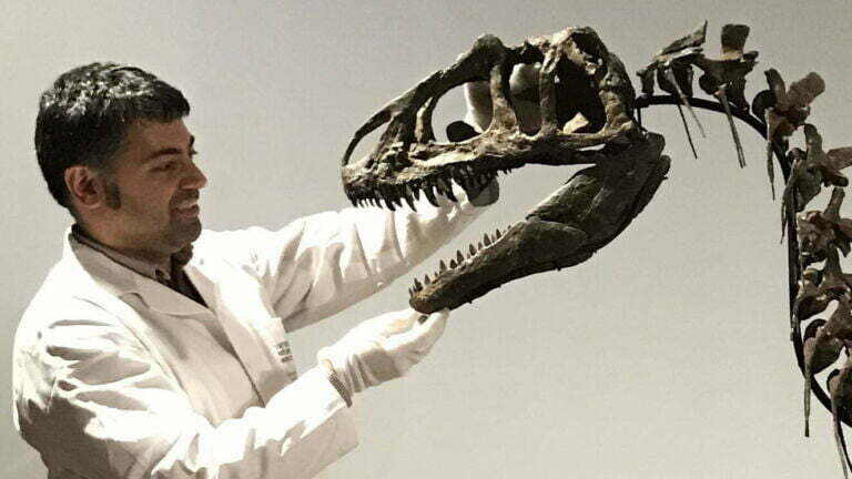 Abdi Hedayat med et dinosaurskelet